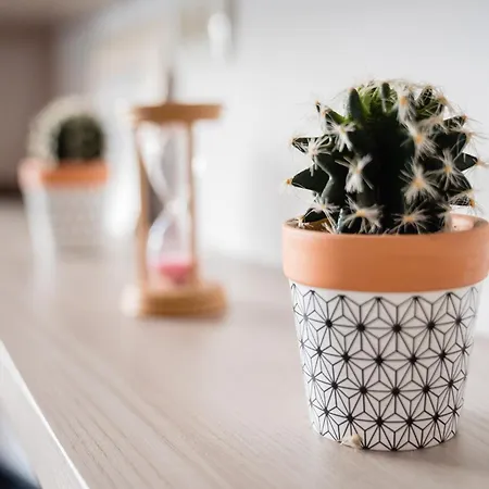 Sea-cozy Mamaia Apartment *