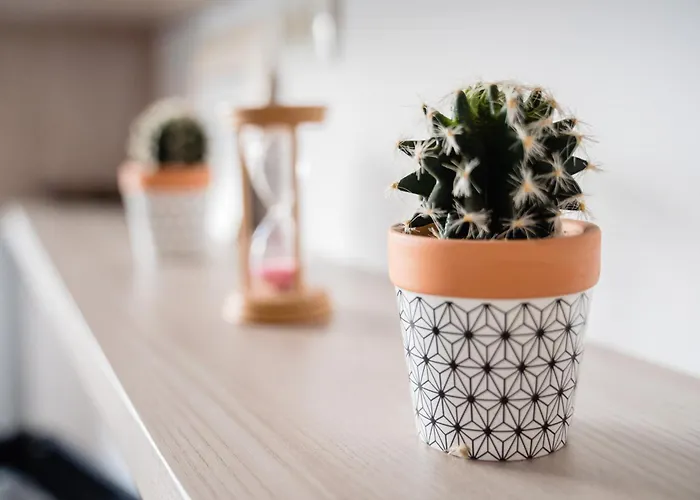 Sea-cozy Mamaia Apartment *